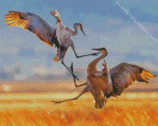 Sandhill Crane Fighting Diamond Painting