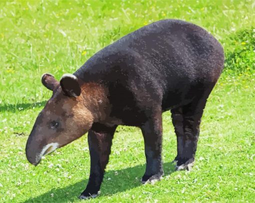 Tapirus Pinchaque Diamond Painting