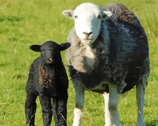 Herdwick Sheep Diamond Painting