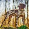 Pointer Hunting Dog Diamond Painting