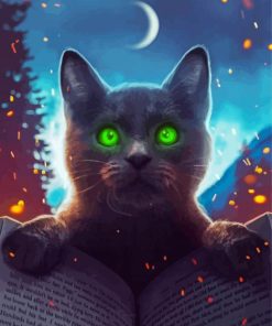 Black Magical Cat Diamond Painting