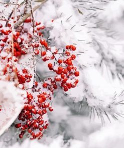 Berries In Winter Diamond Painting