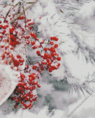 Berries In Winter Diamond Painting