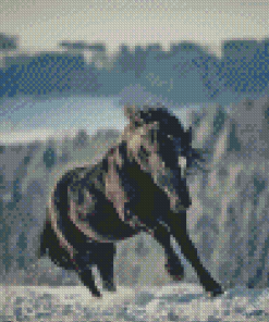 Black Horse Diamond Painting