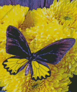 Butterfly On Flowers Diamond Painting