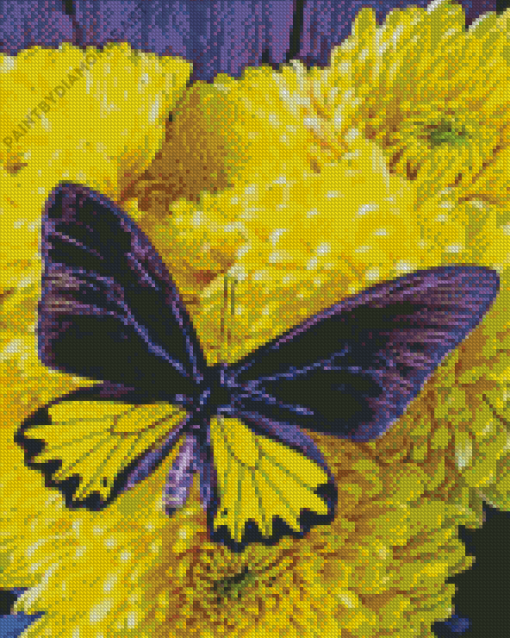 Butterfly On Flowers Diamond Painting