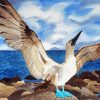 Blue Footed Booby Diamond Painting