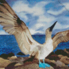 Blue Footed Booby Diamond Painting