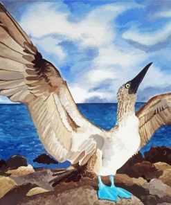 Blue Footed Booby Diamond Painting