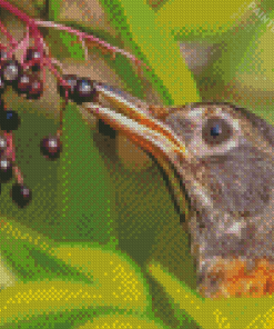 Bird Eating Elderberry Diamond Painting