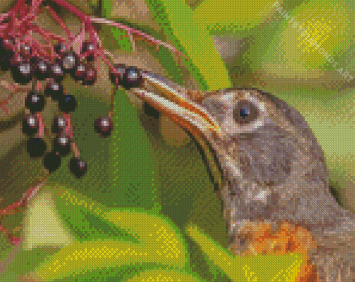 Bird Eating Elderberry Diamond Painting