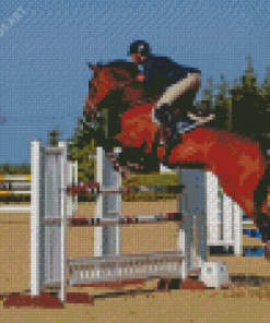 Horse Jumping Diamond Painting