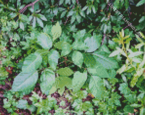 Poison Ivy Plant Diamond Painting