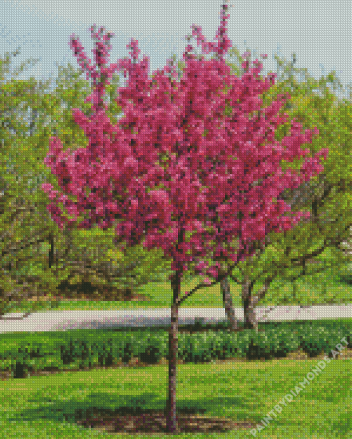 Crabapple Tree Diamond Painting