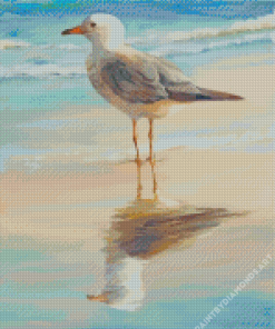 Seagull Bird Diamond Painting