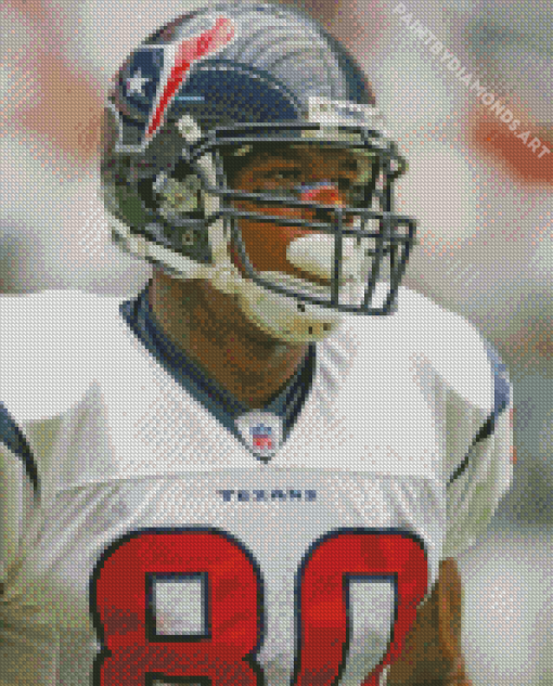 Texans Football Diamond Painting