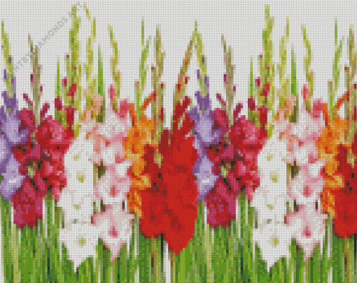 Gladioli Plants Diamond Painting