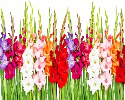 Gladioli Plants Diamond Painting