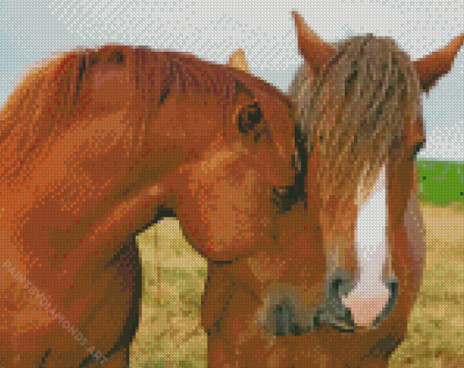 Horse Couple Diamond Painting