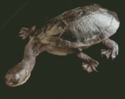 Long Neck Turtle Diamond Painting