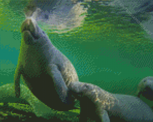 Manatee Family Diamond Painting