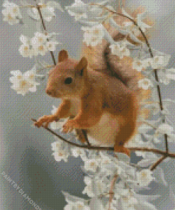 Red Squirrel Diamond Painting