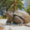 Seychelles Giant Tortoise Diamond Painting