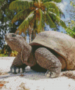 Seychelles Giant Tortoise Diamond Painting