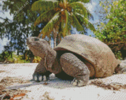 Seychelles Giant Tortoise Diamond Painting