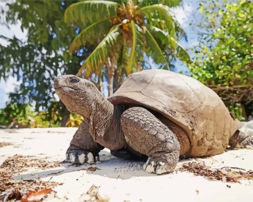 Seychelles Giant Tortoise Diamond Painting