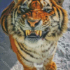 Smiling Tiger Diamond Painting