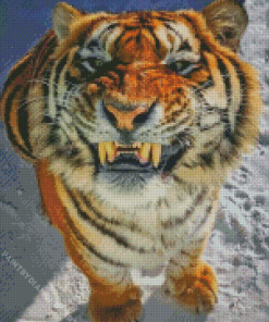 Smiling Tiger Diamond Painting