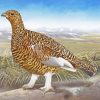 The Willow Ptarmigan Diamond Painting