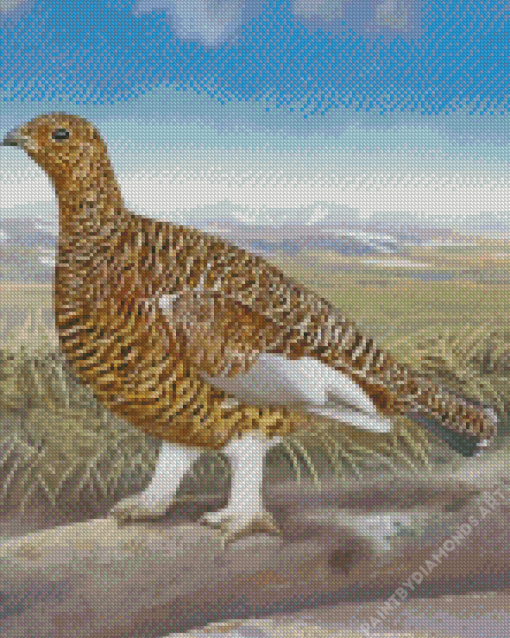 The Willow Ptarmigan Diamond Painting