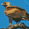 Wedge Tailed Eagle Diamond Painting