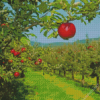 Apple Orchard Diamond Painting