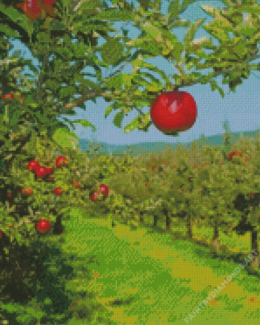 Apple Orchard Diamond Painting