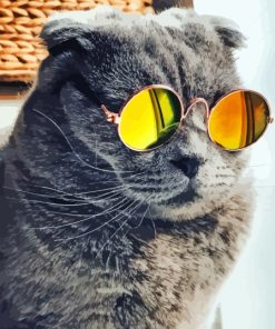 Cat With Sunglasses Diamond Painting