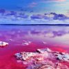 Pink Lake Diamond Painting