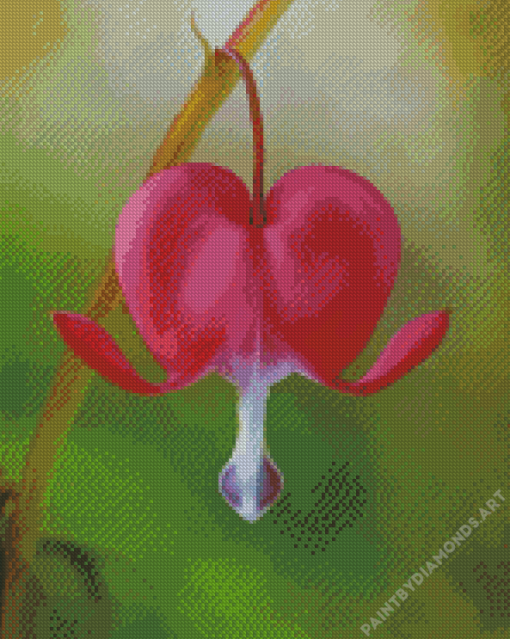 Bleeding Heart Plant Diamond Painting