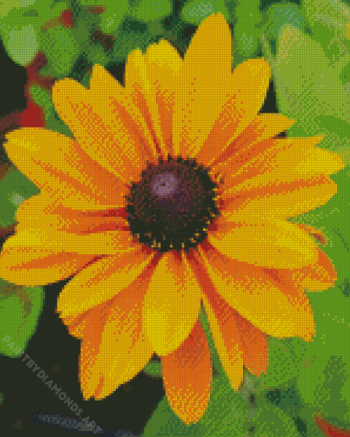 Black Eyed Susan Diamond Painting