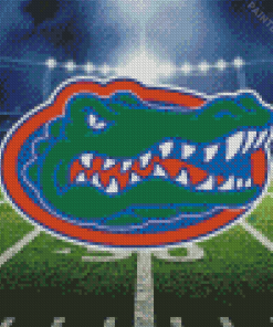 Florida Gators Football Diamond Painting