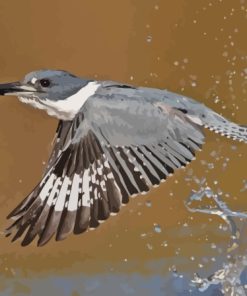 Flying Belted Kingfisher Diamond Painting