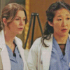 Meredith And Cristina Diamond Painting