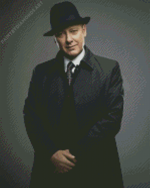 Raymond Reddington Diamond Painting