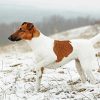 Fox Terrier In Snow Diamond Painting