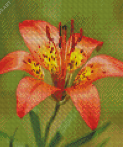 Western Red Lily Diamond Painting