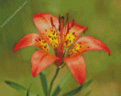 Western Red Lily Diamond Painting