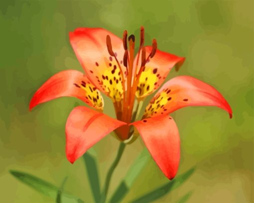 Western Red Lily Diamond Painting