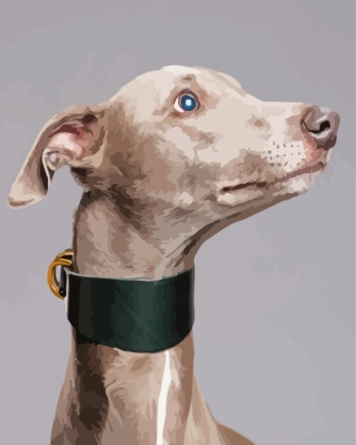 Whippet Dog Head Diamond Painting